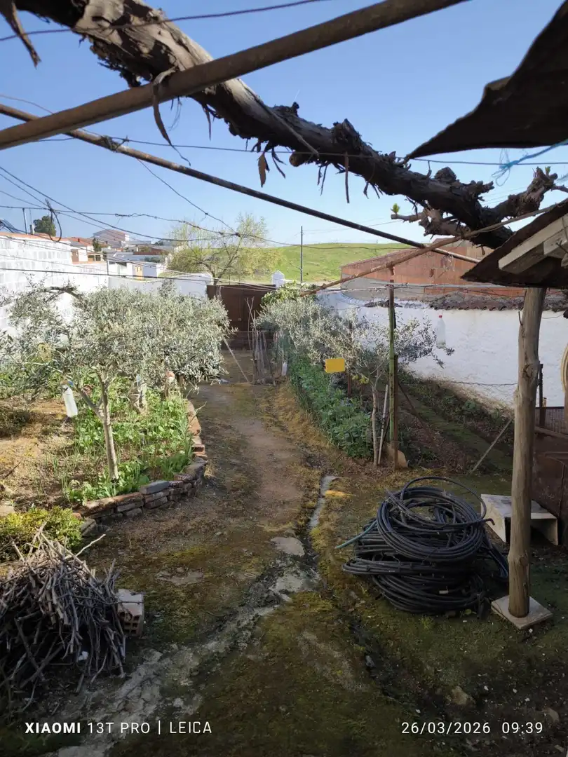 Maison rustique à vendre à Fuente Obejuna, imagen 14