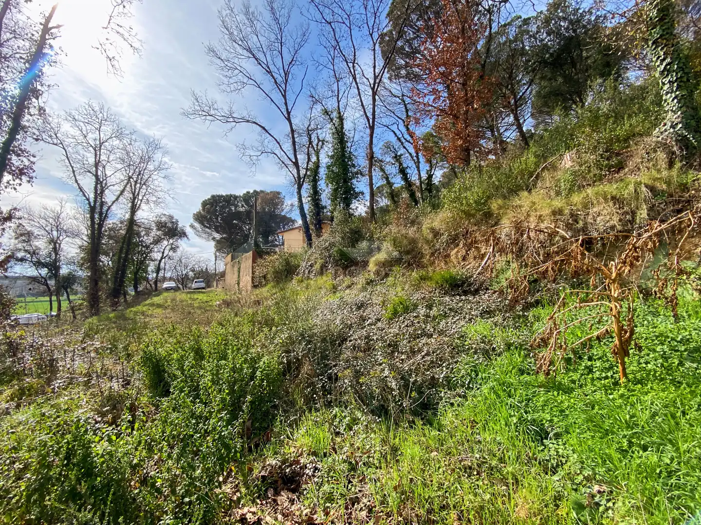 Terrenos y solares en venta en Massanes, imagen 5