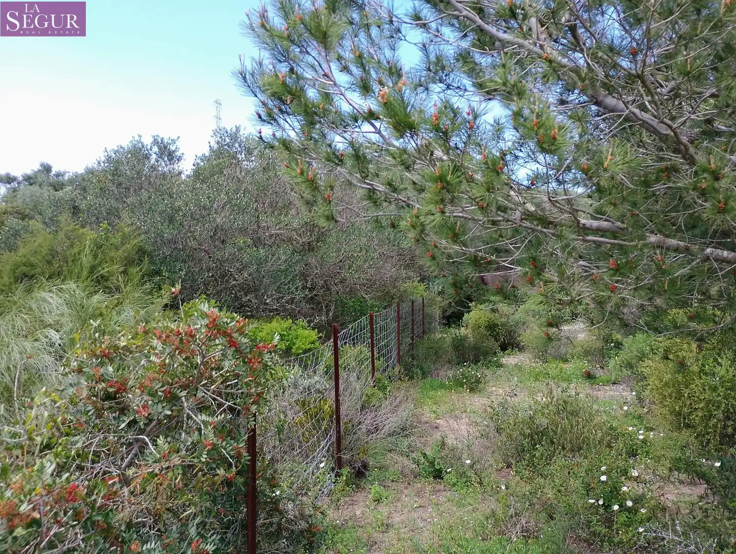 Terreno rustico in vendita a Barbate ciudad, imagen 8