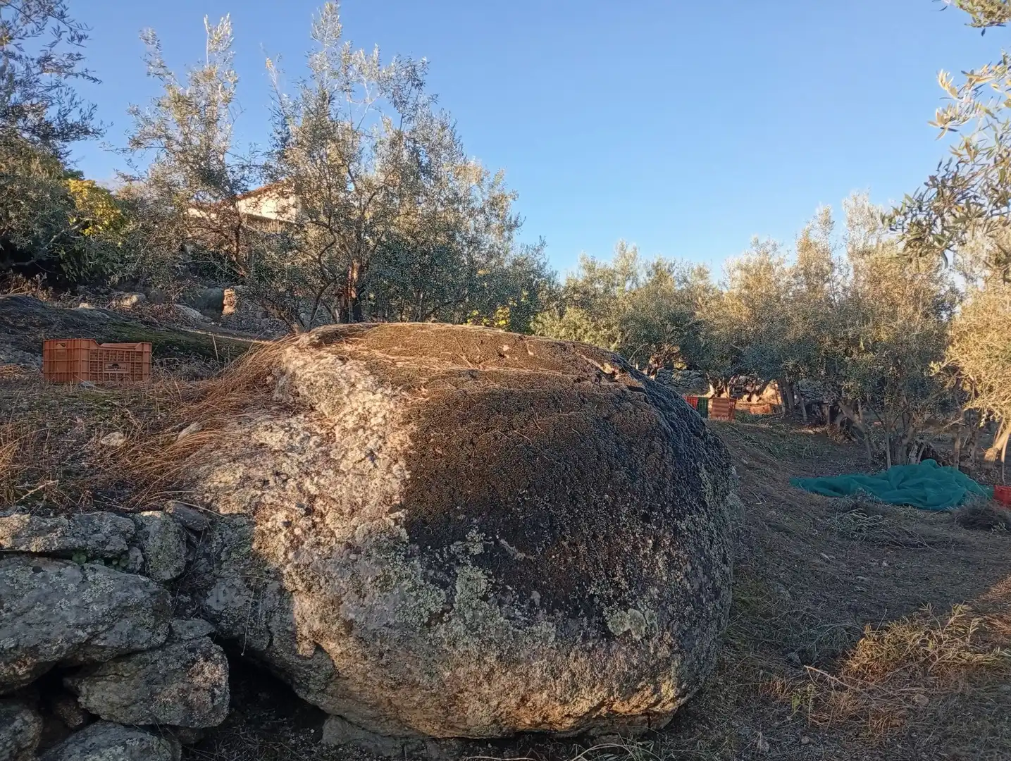 Terreni e lotti in vendita a Villanueva de la Vera, imagen 46