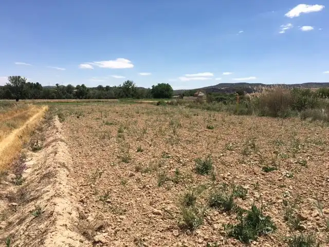 Rural land for sale in Calle del Pozo del Concejo