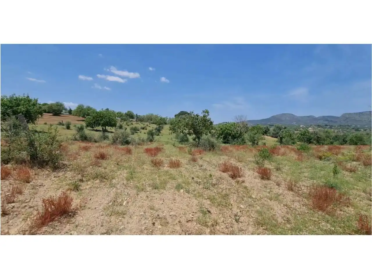 Rural land for sale in Poligono 5 723, imagen 39
