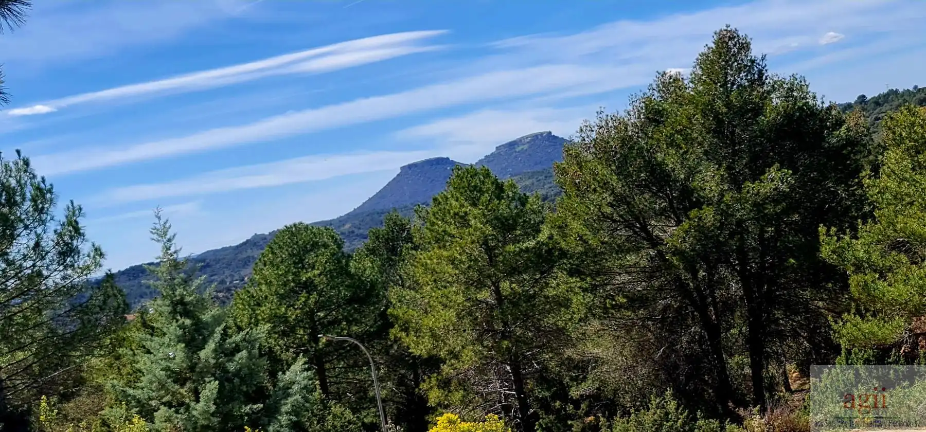 Terrain résidentiel à vendre à Trillo, imagen 3