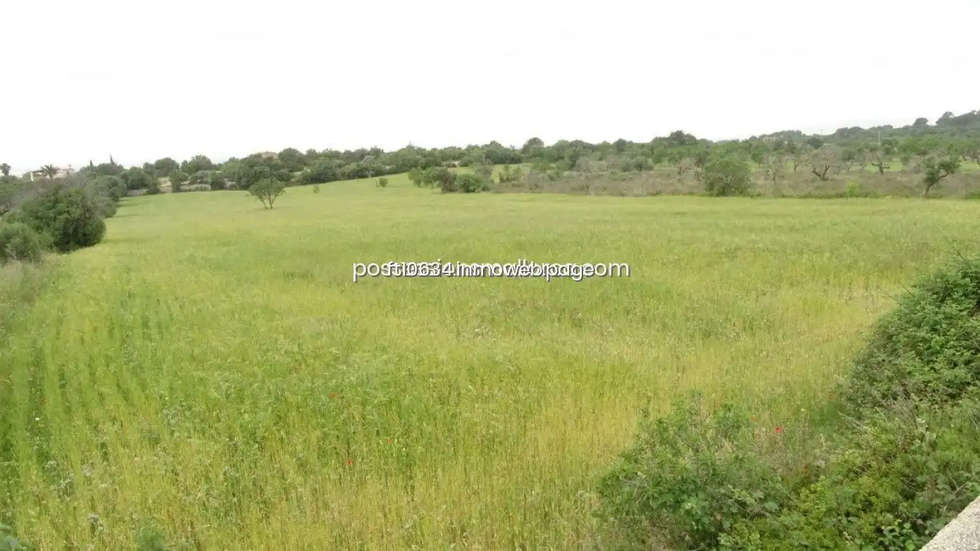 Terreno rustico in vendita a Llucmajor pueblo, imagen 4