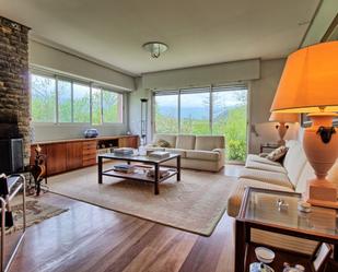 Sala d'estar de Casa o xalet en venda en Valle de Mena amb Calefacció, Jardí privat i Terrassa