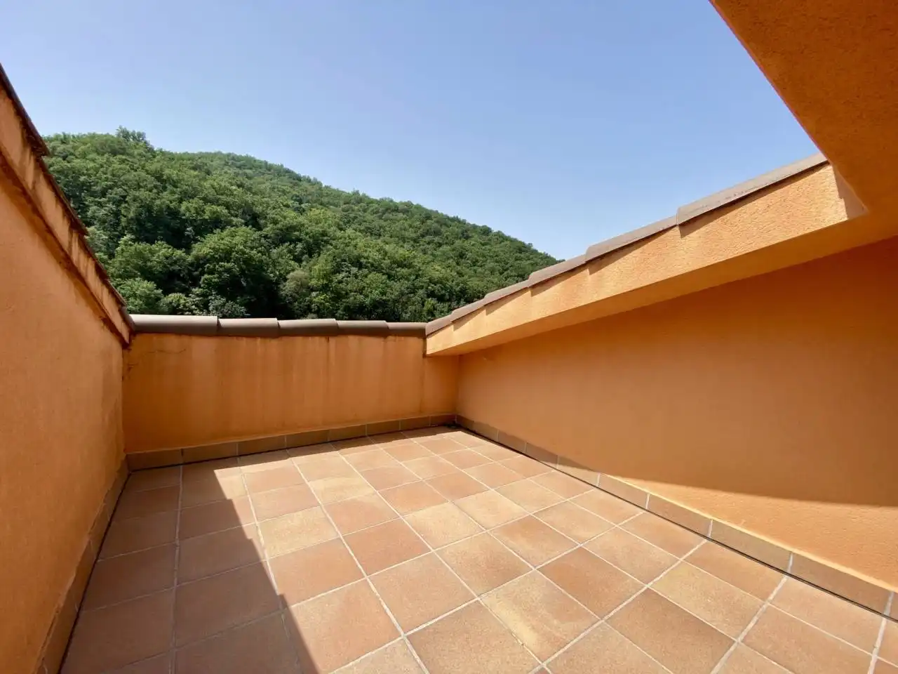 Terrassa de Dúplex en venda en Castellfollit de la Roca amb Calefacció, Terrassa i Moblat