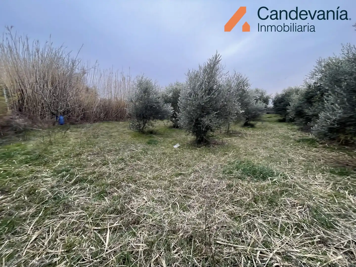 Terreni e lotti in vendita a Zuera, imagen 14