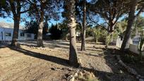 Casa o xalet en venda en Alcanar amb Jardí privat i Terrassa