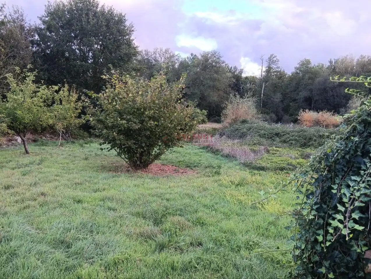 Rustikales Grundstück zum Verkauf in Amoeiro, imagen 9