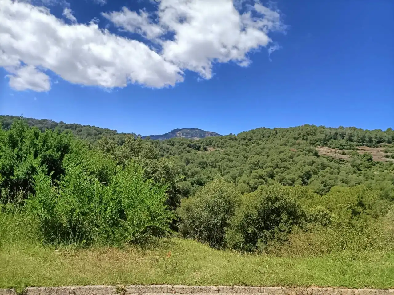 Residential land for sale in Calle Santa Agnés, imagen 4