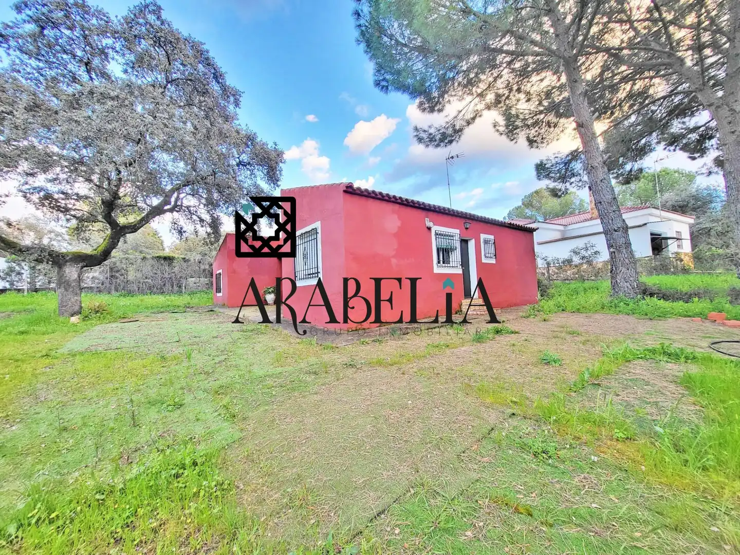 Exterior view of Houses for sale in Córdoba  with Private garden and Terrace