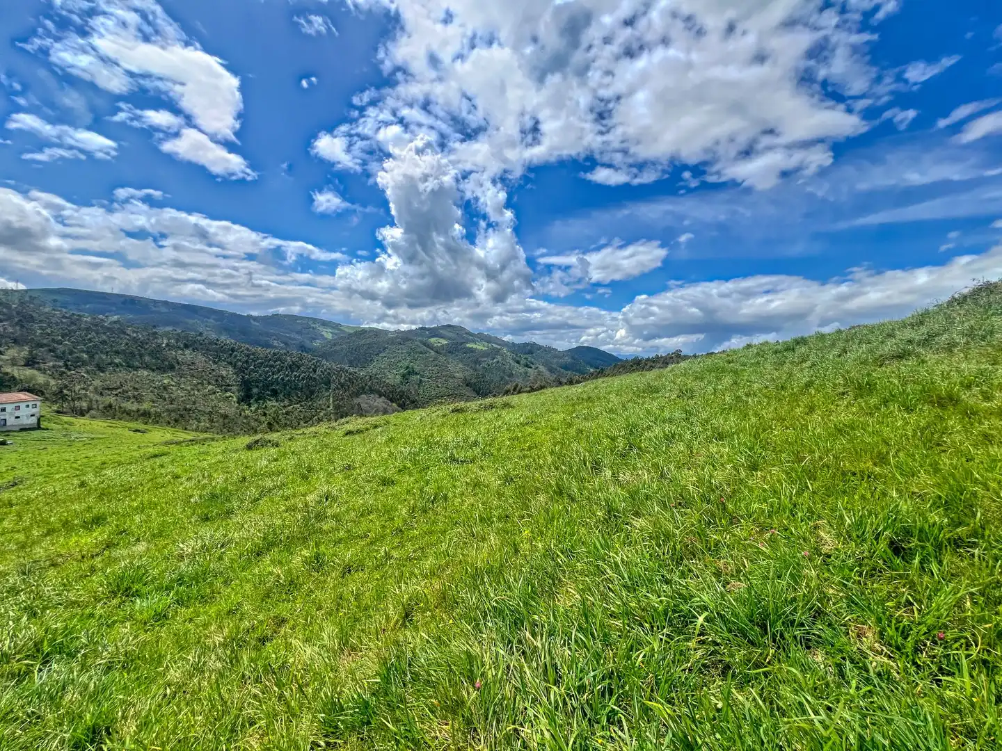Lands and plots for sale in Pillarno, imagen 27
