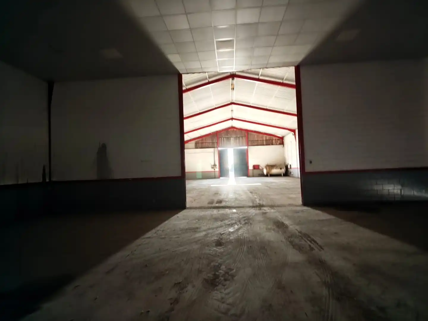 Industrial building to rent in La Motilla - Fuente del Rey, imagen 3