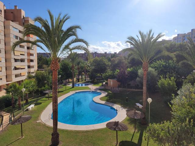 Piso en Alquiler en Calle Catedrático Abelardo Rigual en Playa de San Juan