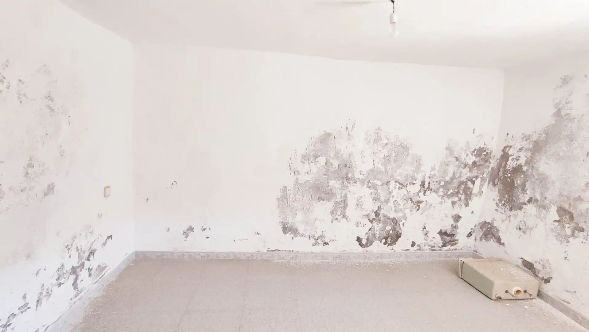 Casa rústica en venta en Vélez-Rubio, imagen 16