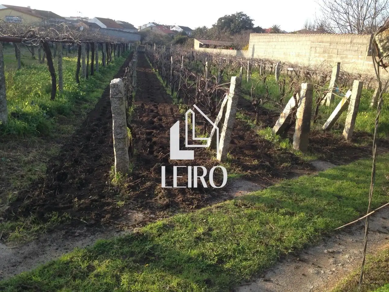 Terreno rustico in vendita a Cambados, imagen 2