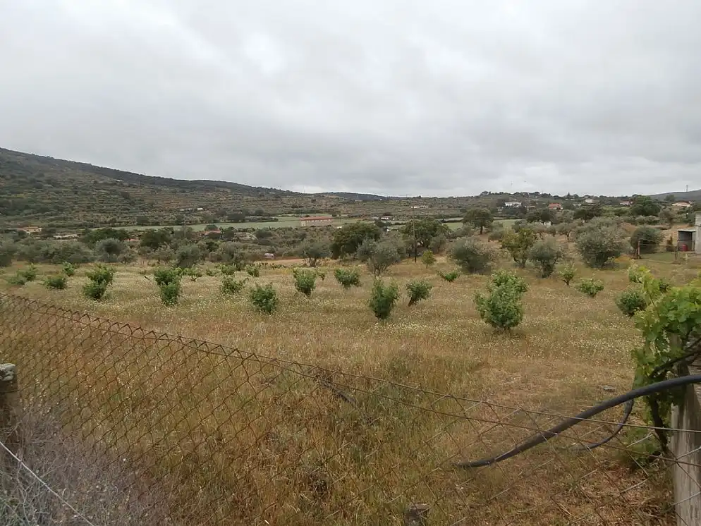 Terreni e lotti in vendita a Paraje Arroyo de Marta, imagen 6
