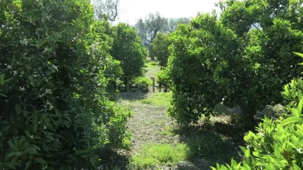 Finca rústica en venda en Lecrín