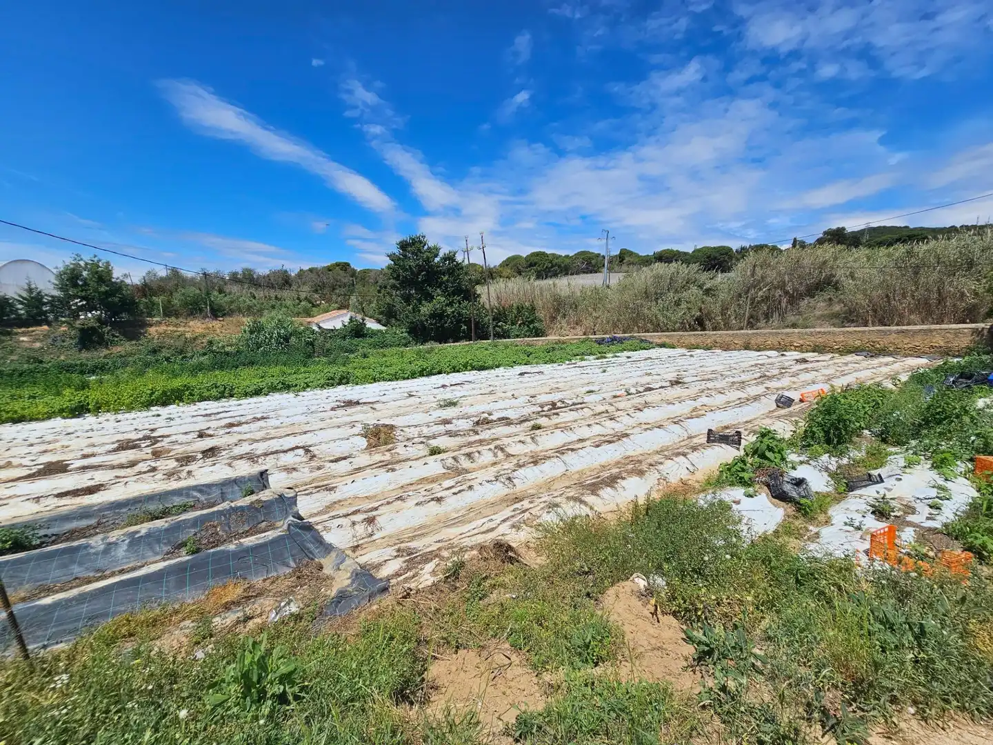 Finca rústica en venta en Canet de Mar con Jardín privado