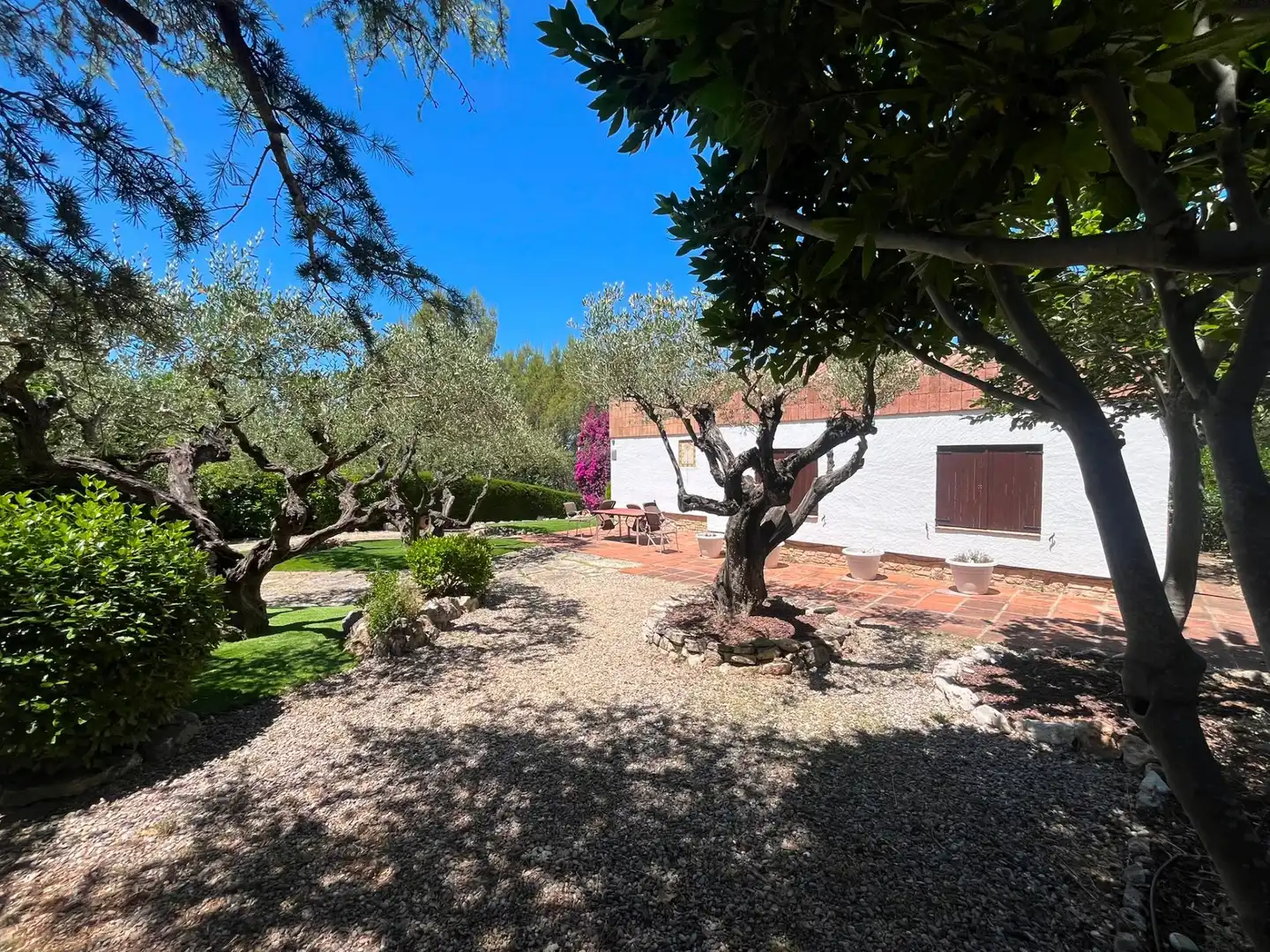 Jardí de Casa o xalet de lloguer en Gelida amb Jardí privat, Traster i Piscina