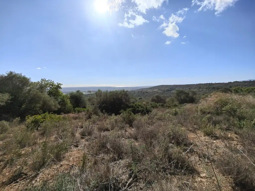 Terreny rústic en venda a Llevant, imagen 4