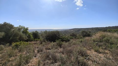 Parcela con vistas al mar en Palma, imatge 4