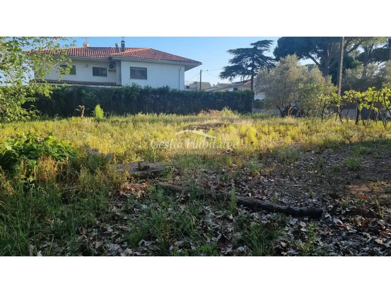 Terreny residencial en venda a Calle lluçanes, imagen 3