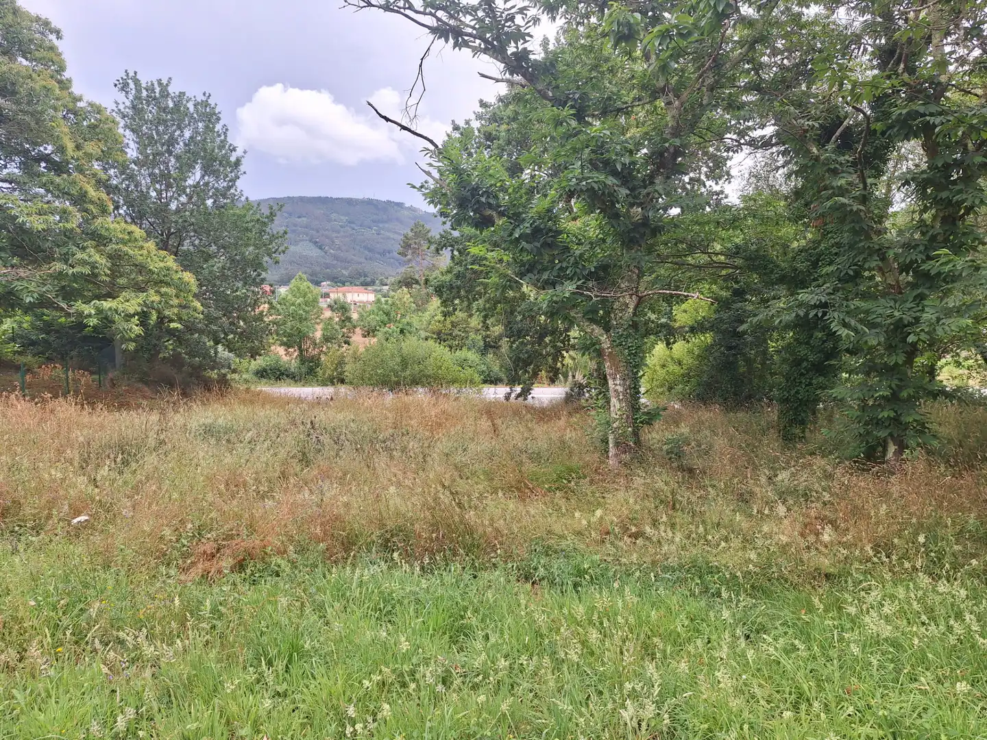 Grundstücke zur Miete in Culleredo