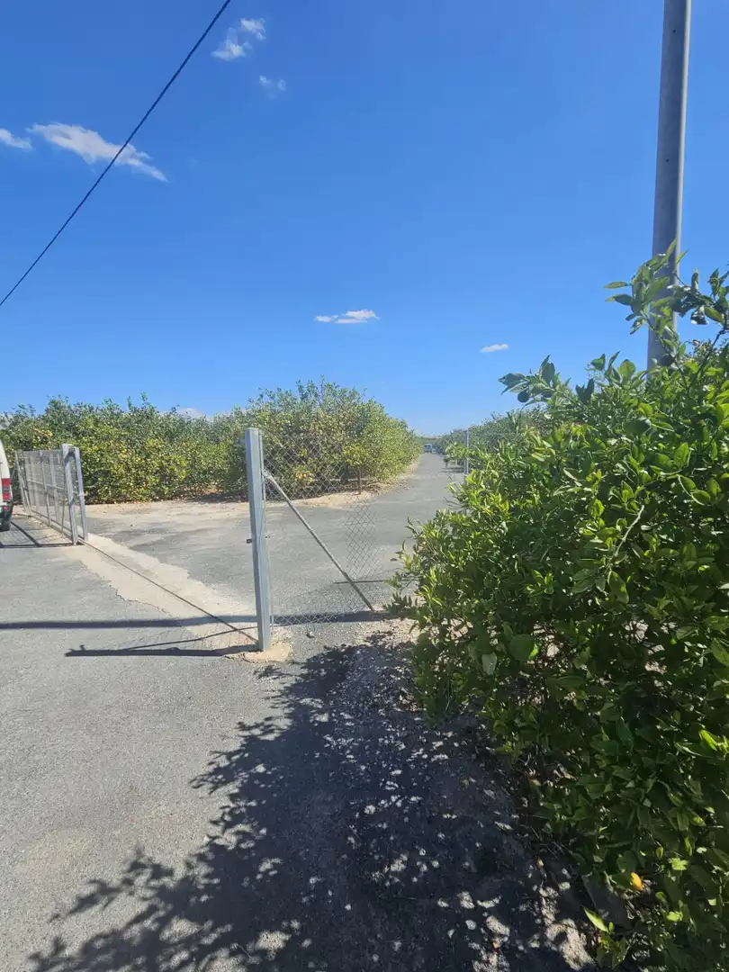 Rural land for sale in Los Montesinos, imagen 3