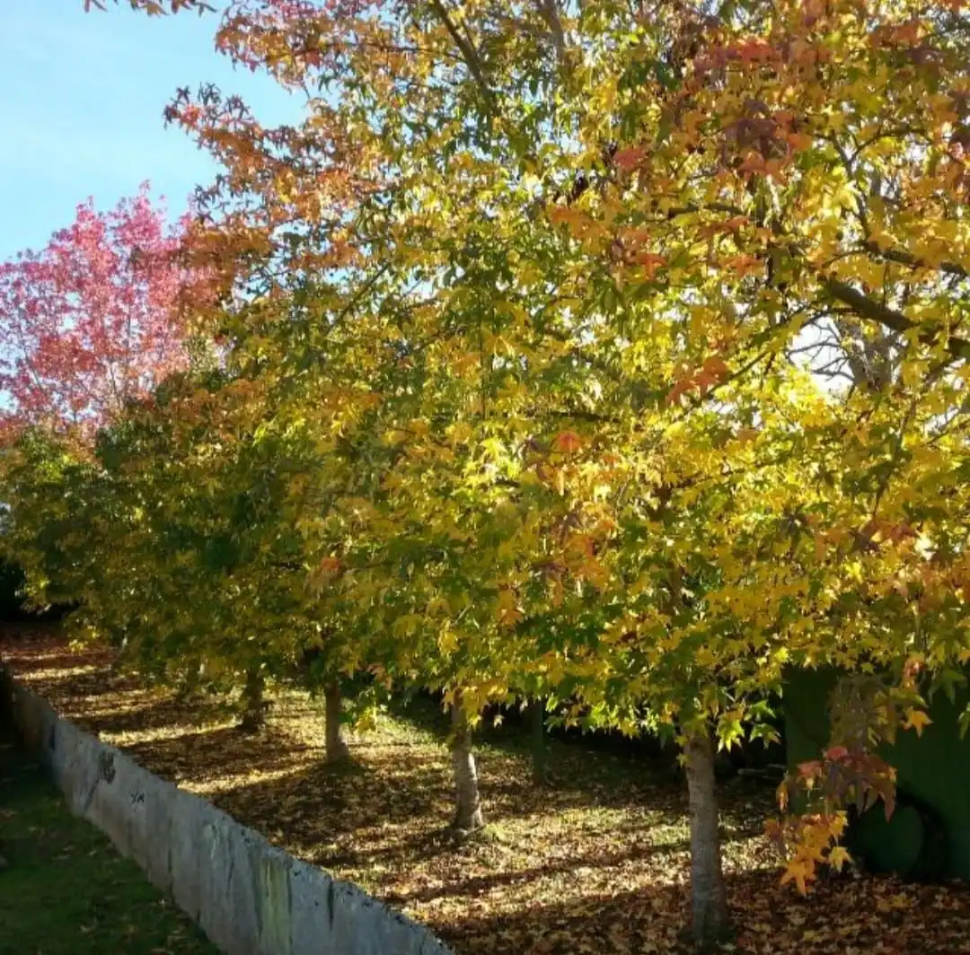 Terreni e lotti in vendita a Fene, imagen 11