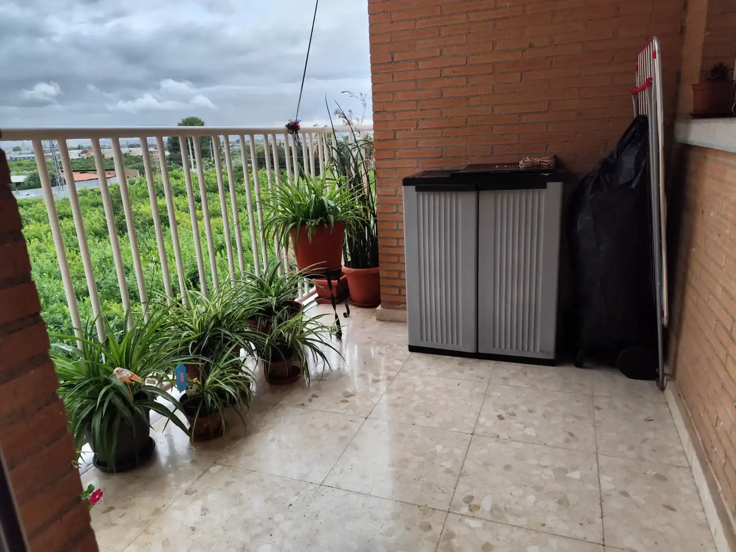 Flat with terrace for sale in Calle Juan Pelegrín Tomás 1B, imagen 43