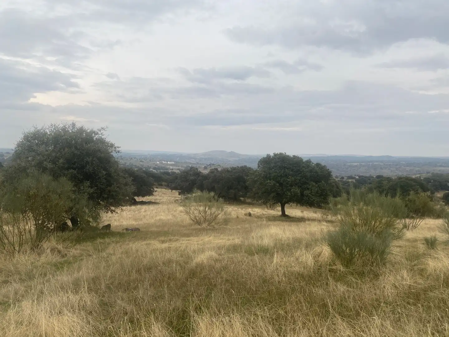 Terreni e lotti in vendita a La Estrella, imagen 7