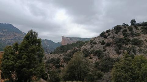 Photo 5 of Land for sale in Peñarroya de Tastavins, Teruel