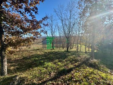 Residential land for sale in O Pereiro de Aguiar