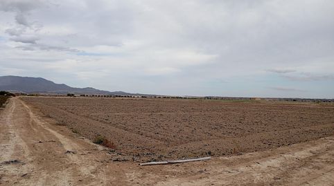 Terreno Rural en el Paretón, immagine 4