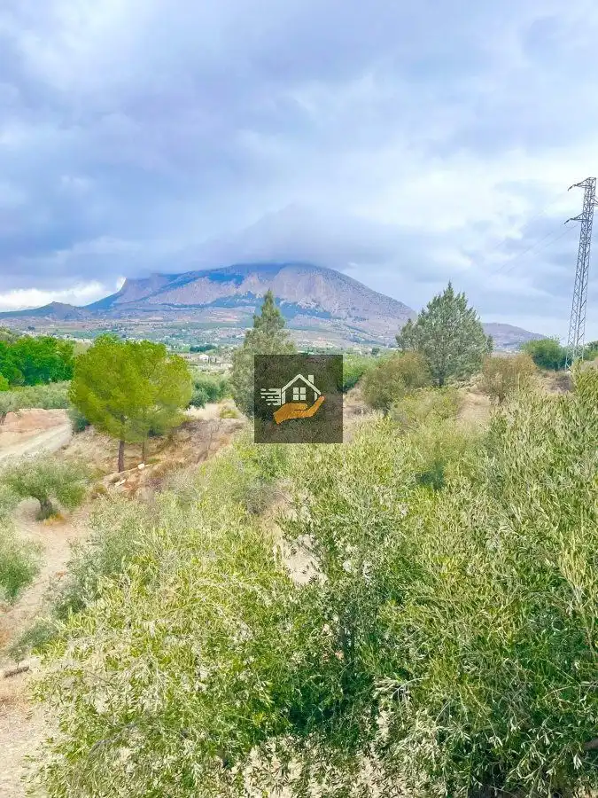 Residential land for sale in Vélez-Rubio, imagen 8