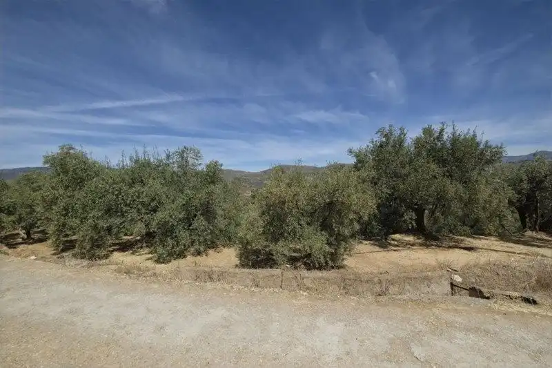 Terreno rustico in vendita a El Valle, imagen 21