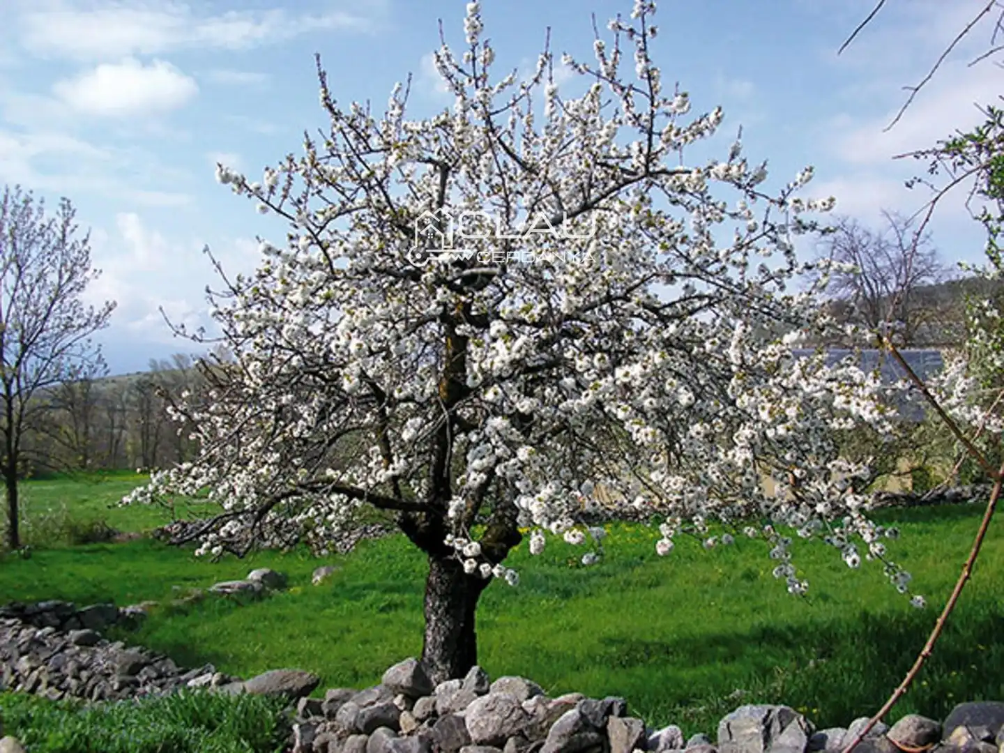 Adossat amb jardí en venda a De les Poujolles 5, imagen 16