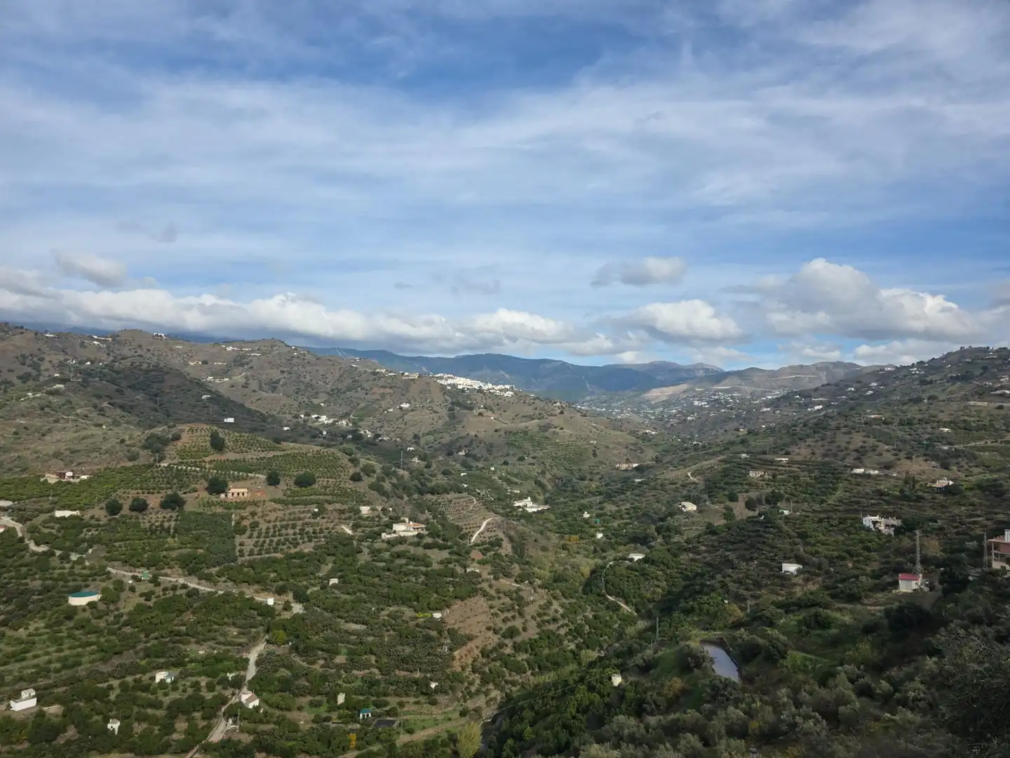 Terreny rústic en venda a Sayalonga