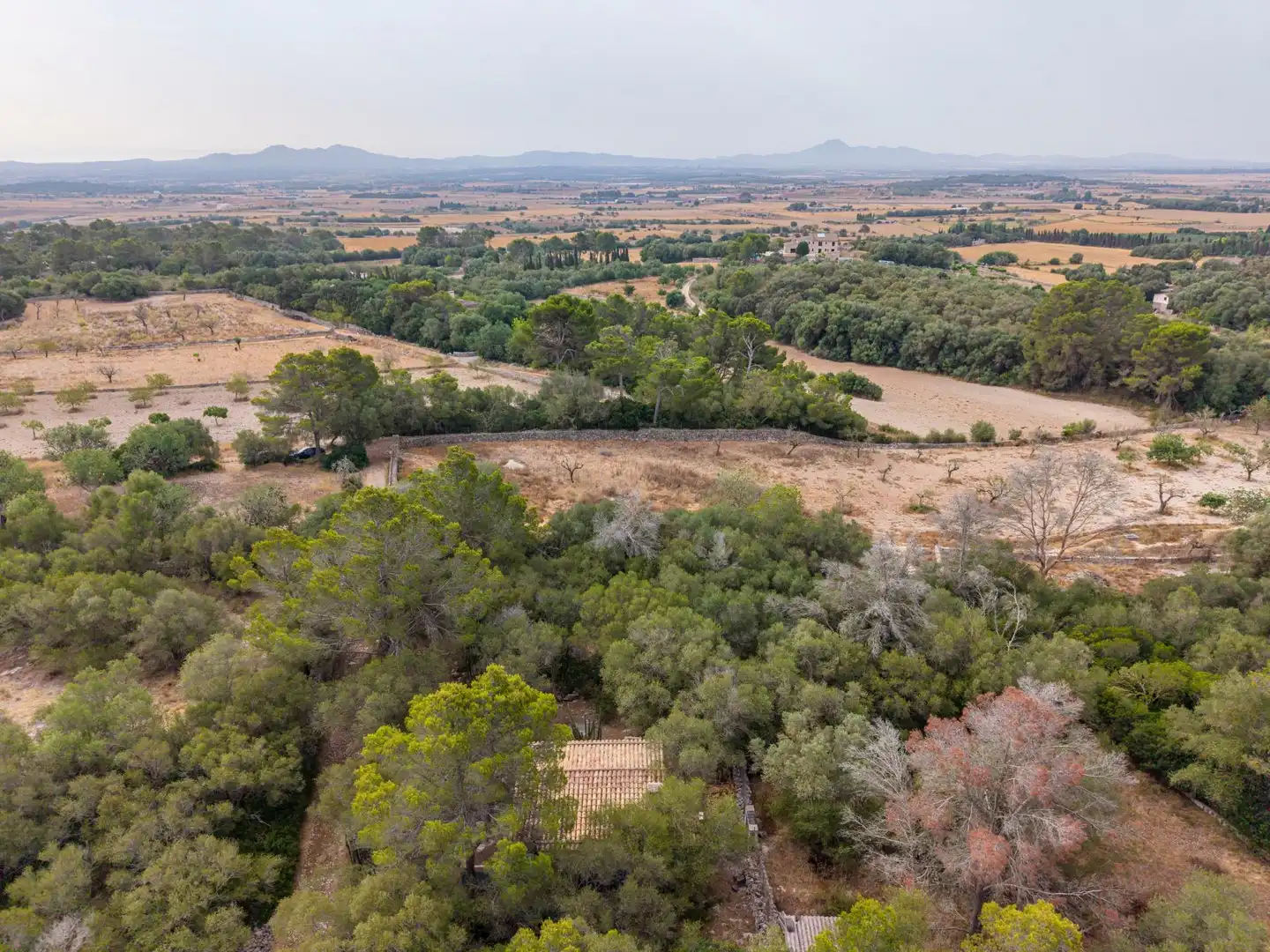Finca rústica en venda en Petra amb Jardí privat, Terrassa i Traster