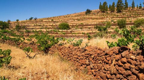 Foto 2 de Terreno en venta en Arona pueblo, Arona