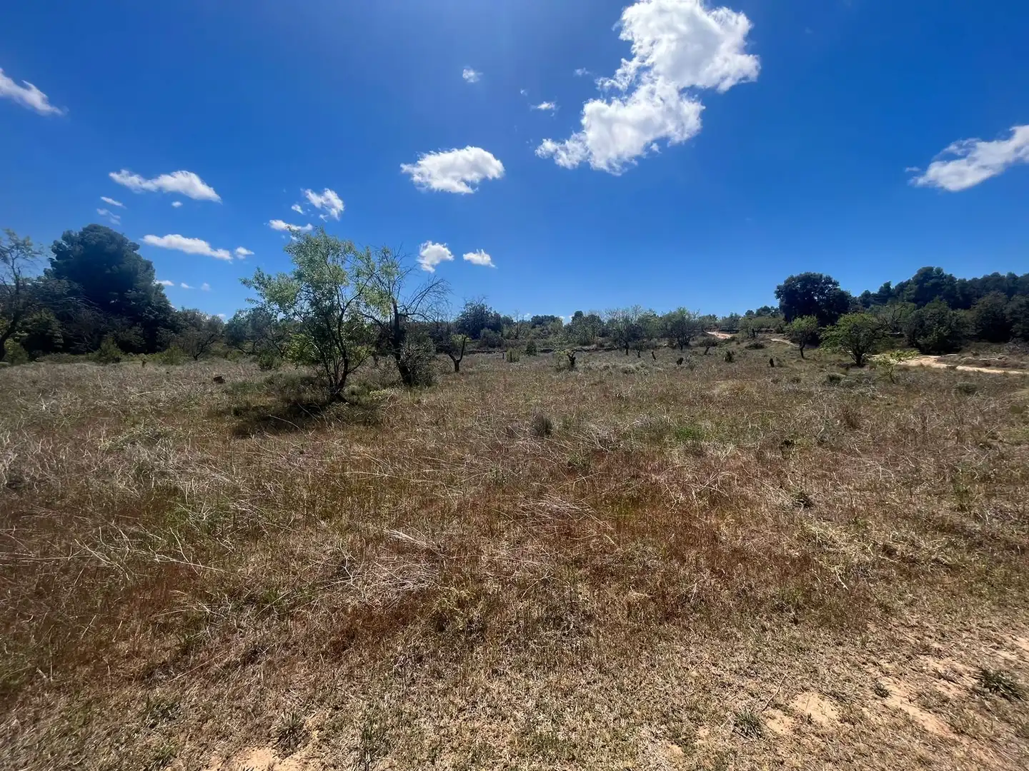 Terreni e lotti in vendita a Arens de Lledó