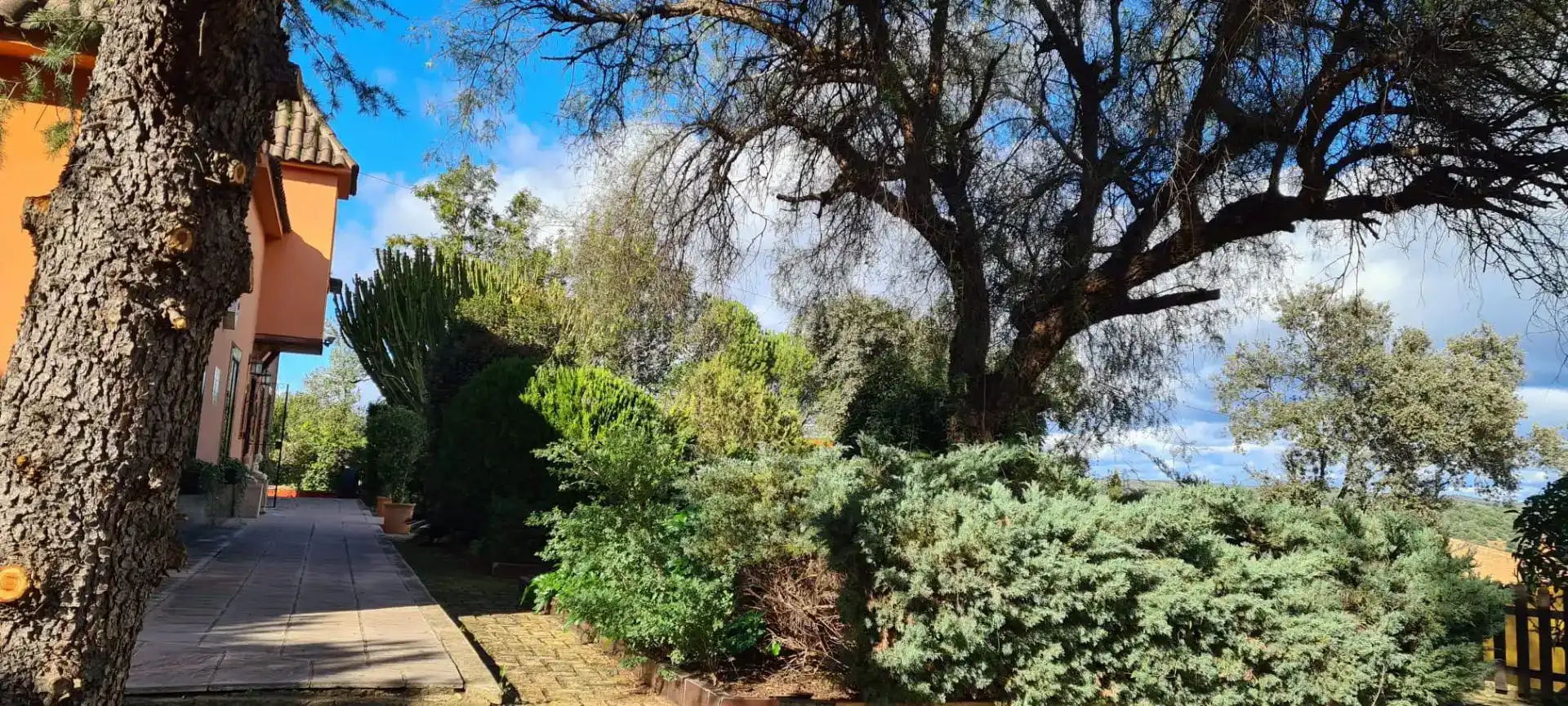 Jardín de Piso en venta en Las Pajanosas