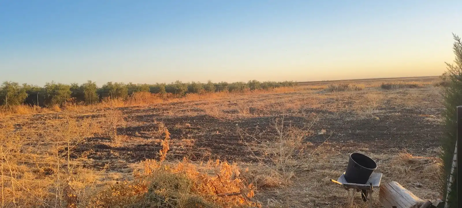 Casa rústica amb piscina en venda a Carretera Fuente Palmera, imagen 11