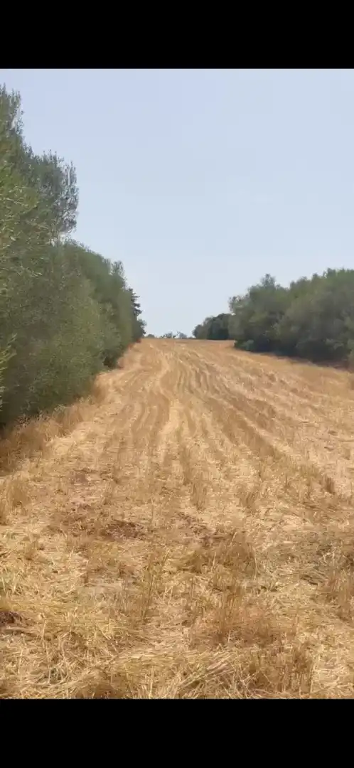 Rustikales Grundstück zum Verkauf in N/A, imagen 9