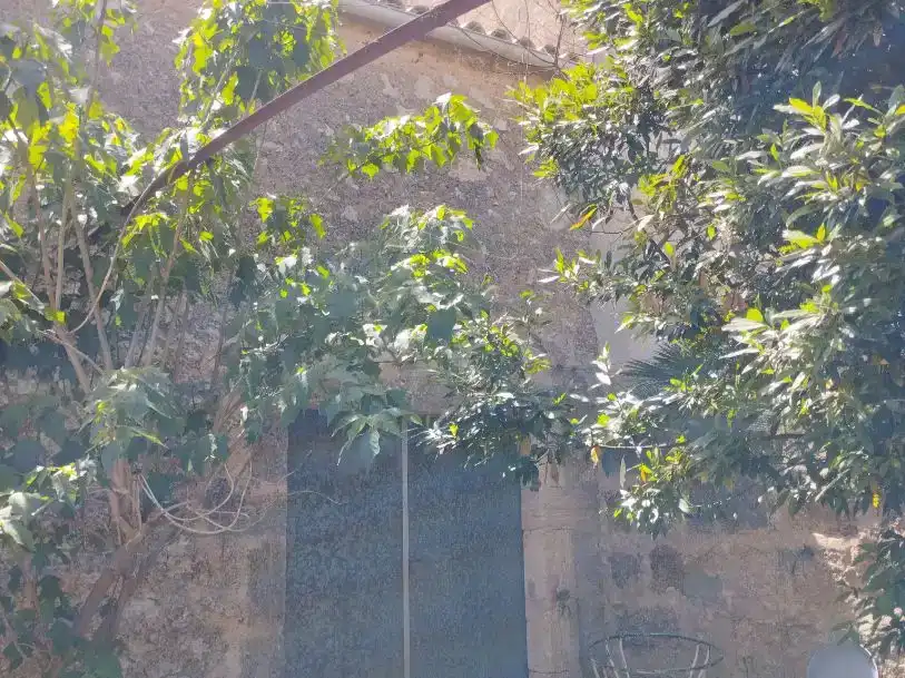 Exterior view of Flat for sale in Ariany  with Private garden, Storage room and Furnished