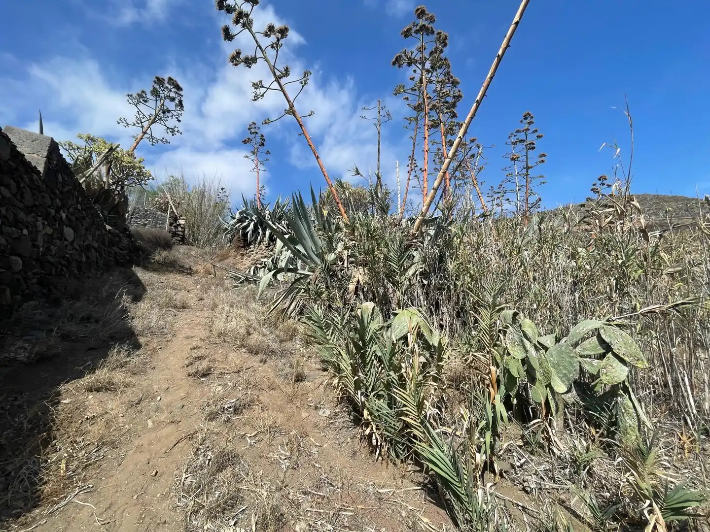 Terreno en venta en Valsequillo de Gran Canaria