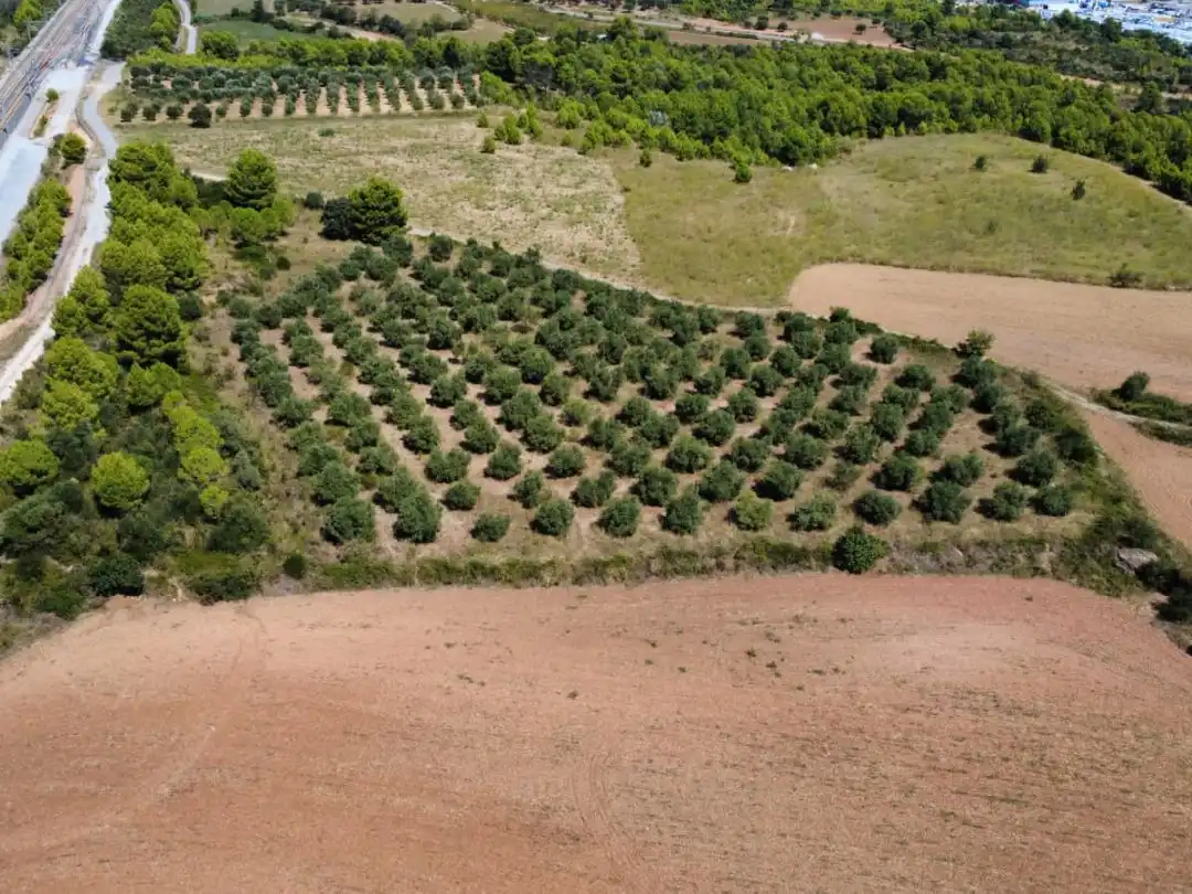 Terreno rustico in vendita a N-IIa 11, imagen 2