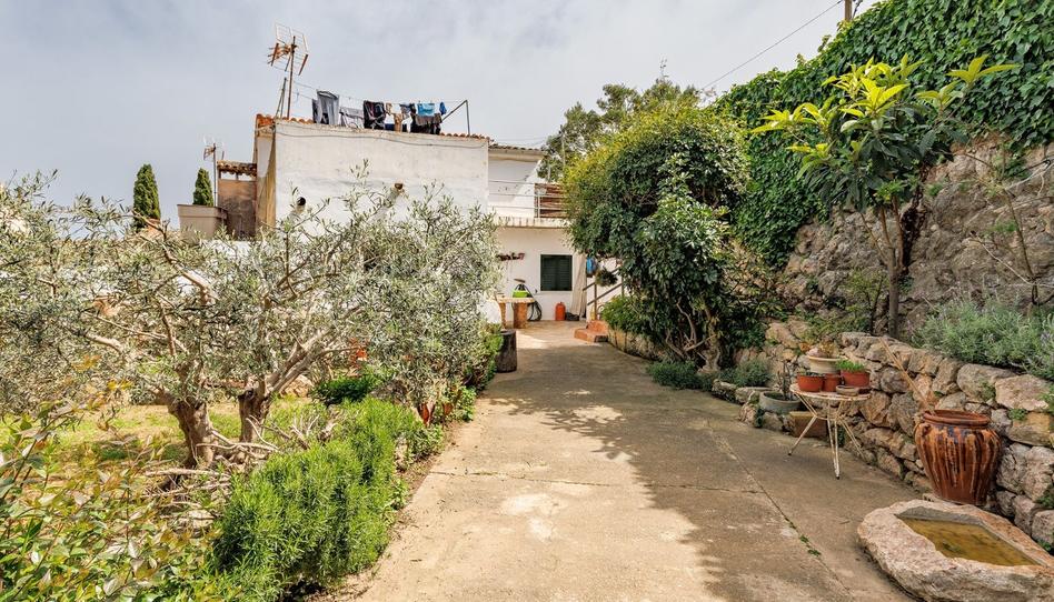 Photo 1 of Apartment for sale in Creu, Pollença Poble, Illes Balears