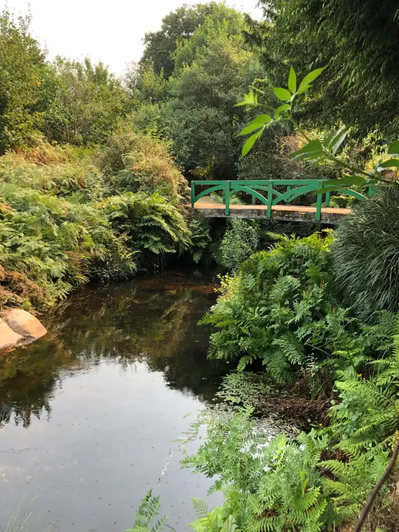 Casa amb jardí en venda a Camiño do Camino Muino 10, imagen 40